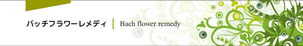 �o�b�`�t�����[�����f�B�@Bach flower remedy