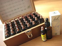 �e�탌���f�B