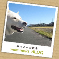 みいこのお散歩 mominoki BLOG