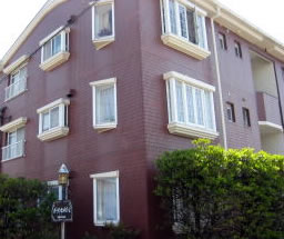 �A���}�̂������@mominoki