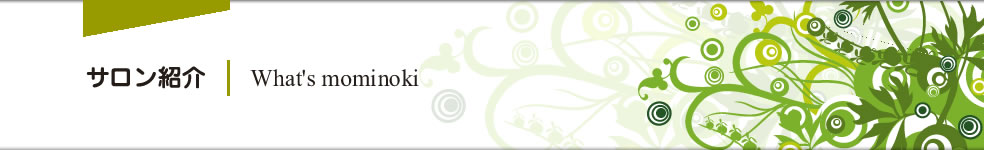 �T�����Љ�@What's mominoki